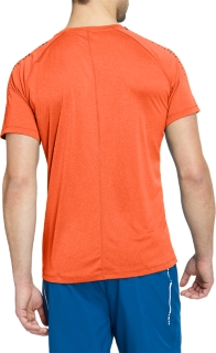 STRIPE SS TOP, Image 2 of 6