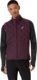 Dark Currant
