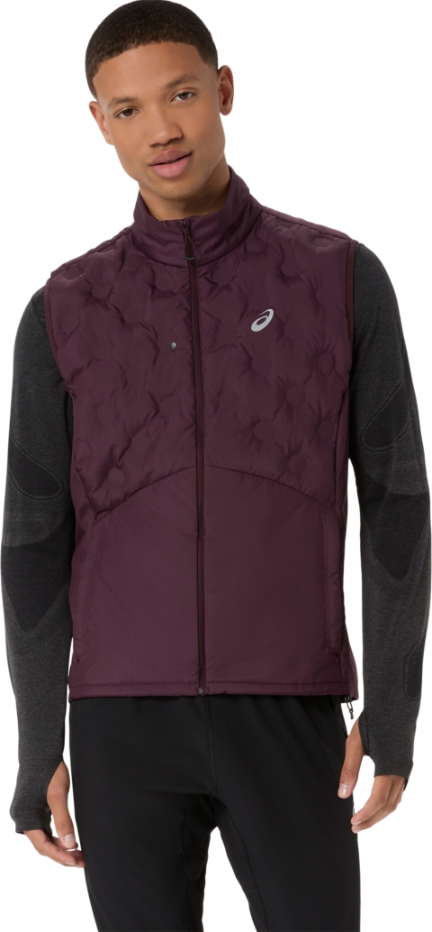 Мужской жилет ASICS Road Winter, цвет: Dark Currant