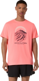 Sun Coral