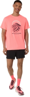 FUJITRAIL  LOGO SS TOP, Image 6 of 6