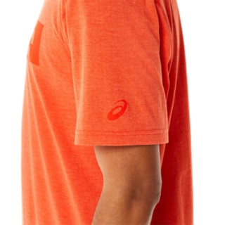 PRINT SHORT SLEEVED TOP, Image 5 of 6