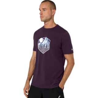 ASICS MOUNTAIN INSIGNIA TEE, Image 3 of 7