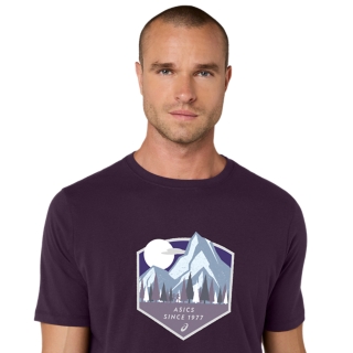 ASICS MOUNTAIN INSIGNIA TEE, Image 4 of 7