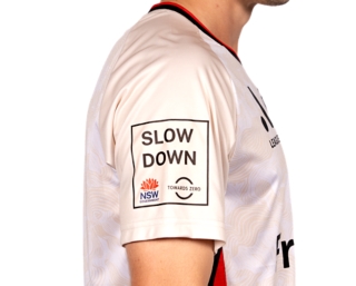 WESTERN SYDNEY WANDERERS AWAY JERSEY, Image 6 of 10