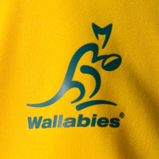 WB HOME GAMEDAY JERSEY REPLICA M, Image 9 of 15