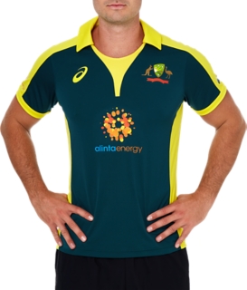 asics cricket jersey