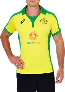 asics cricket t shirt