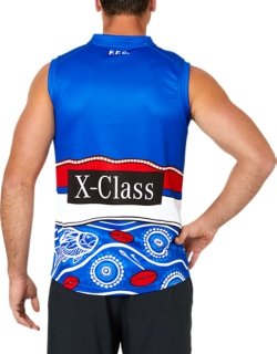 Western bulldogs best sale indigenous jersey 2019