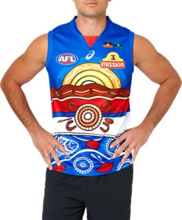 Western Bulldogs 2017 Indigenous Jumper : r/AFL