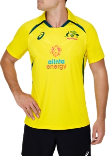 Estallar Templado halcón Men's CRICKET AUSTRALIA REPLICA ODI HOME SHIRT | Blazing Yellow | Mens  Cricket Clothing | ASICS Australia