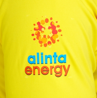 CRICKET AUSTRALIA REPLICA ODI HOME SHIRT, Image 4 of 7