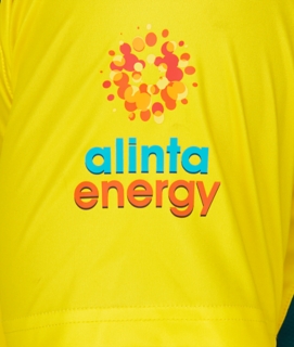 CRICKET AUSTRALIA INDIGENOUS REPLICA SHIRT, Image 4 of 7