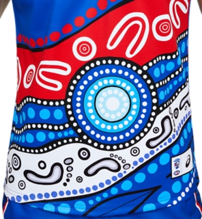 Men's WESTERN BULLDOGS INDIGENOUS REPLICA GUERNSEY, Electric Blue, Mens  AFL Clothing