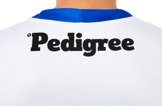 WESTERN BULLDOGS REPLICA CLASH GUERNSEY SHORT SLEEVED, Image 5 of 9