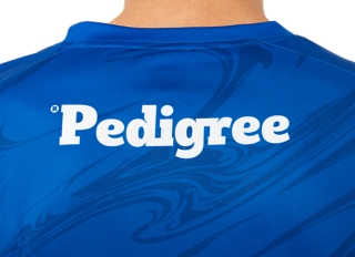 WESTERN BULLDOGS TRAINING TEE, Image 4 of 8