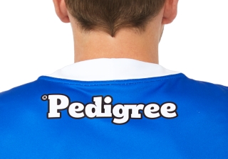 WESTERN BULLDOGS REPLICA HOME GUERNSEY SHORT SLEEVED, Image 4 of 9