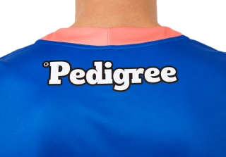 WESTERN BULLDOGS REPLICA TRAINING GUERNSEY ROYAL, Image 3 of 9