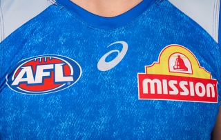WESTERN BULLDOGS REPLICA TRAINING GUERNSEY REVERSIBLE, Image 4 of 11