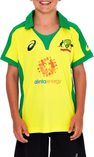 asics cricket shirt