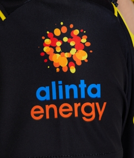 CRICKET AUSTRALIA REPLICA T20 SHIRT, Image 4 of 8