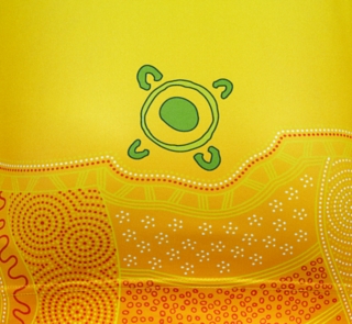 CRICKET AUSTRALIA INDIGENOUS REPLICA SHIRT YOUTH, Image 6 of 6