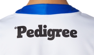 WESTERN BULLDOGS REPLICA CLASH GUERNSEY SHORT SLEEVED YOUTH, Image 3 of 9