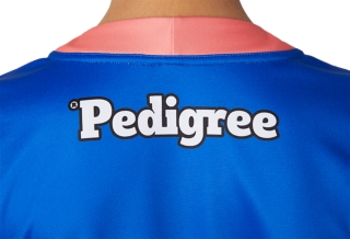 WESTERN BULLDOGS REPLICA TRAINING GUERNSEY ROYAL YOUTH, Image 5 of 9