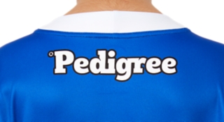 WESTERN BULLDOGS REPLICA HOME GUERNSEY LONG SLEEVED YOUTH, Image 6 of 7