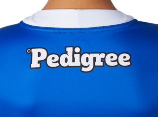 WESTERN BULLDOGS REPLICA HOME GUERNSEY SHORT SLEEVED YOUTH, Image 3 of 9