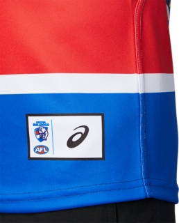 WESTERN BULLDOGS REPLICA CLASH GUERNSEY SHORT SLEEVED YOUTH, Image 6 of 9
