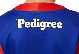 WESTERN BULLDOGS RETRO REPLICA YOUTH, Image 5 of 9