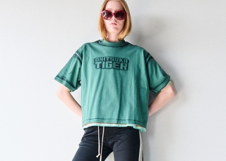 WS TEE