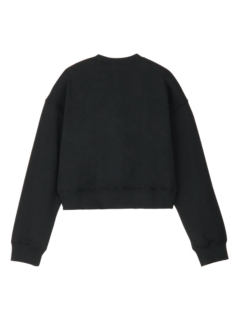 WS LS TOP