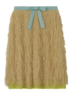 Women S Skirt