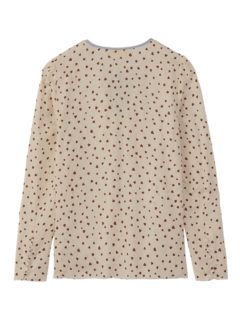 WS TOP