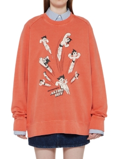 SWEAT-OBERTEIL IM WASHED-LOOK