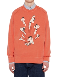 SWEAT-OBERTEIL IM WASHED-LOOK