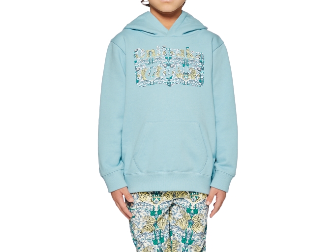 onitsuka tiger junior or