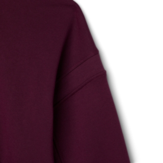 SPS LOGO HOODIE, Image 4 of 4