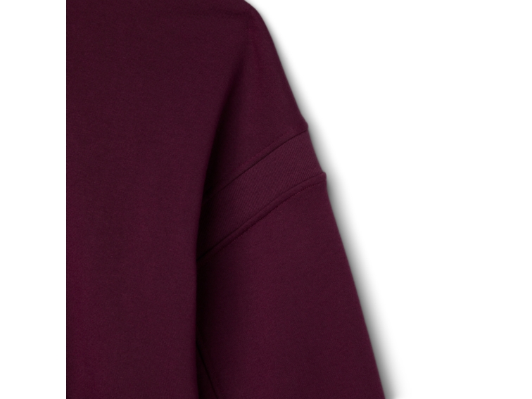 SPS LOGO HOODIE thumbnail