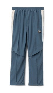 Raw Indigo