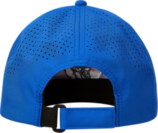 WESTERN BULLDOGS MEDIA CAP, Image 2 of 4
