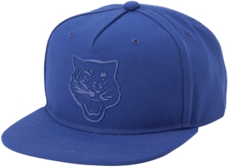 asics tiger cap