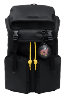 BACK PACK