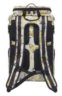BACK PACK