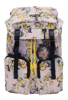 SMALL BACK PACK