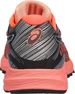 DynaFlyte, Image 3 of 5