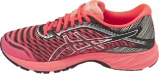 DynaFlyte, Image 2 of 5