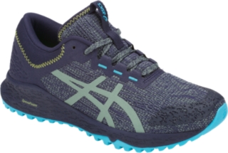 Asics alpine 2025 xt slate grey